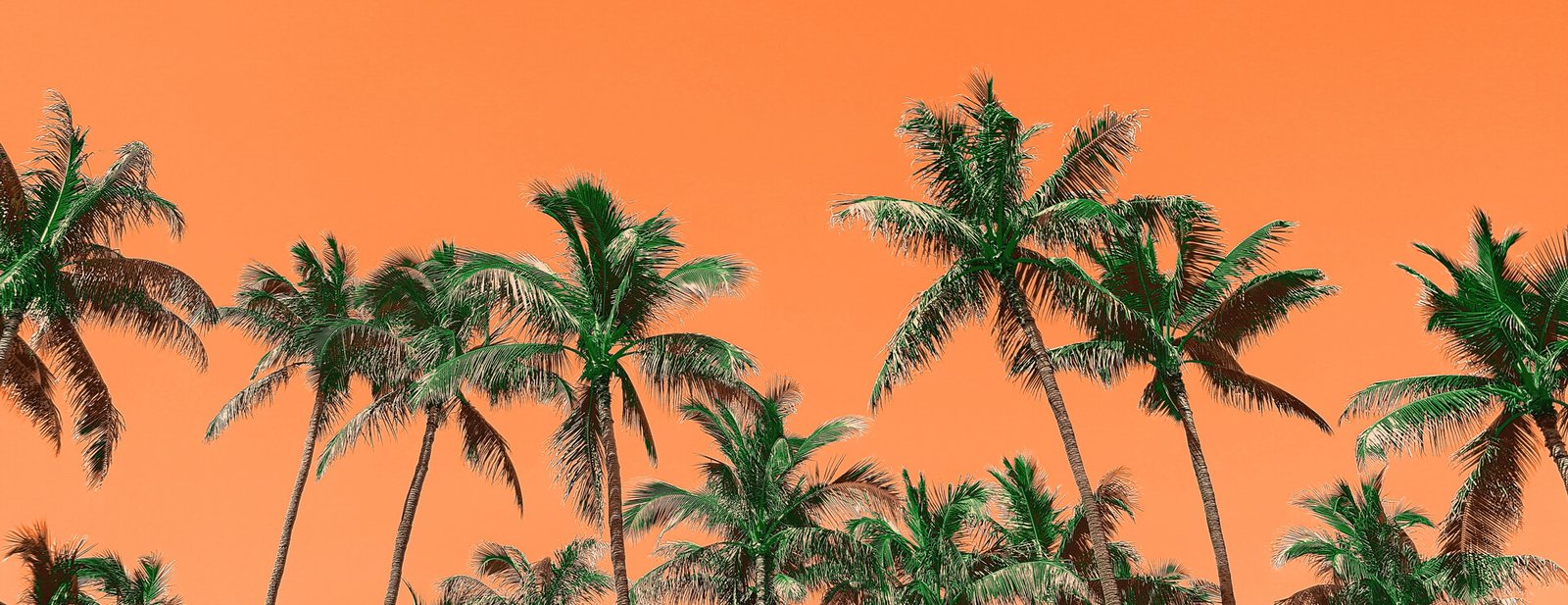 Arytron Artwork - Large