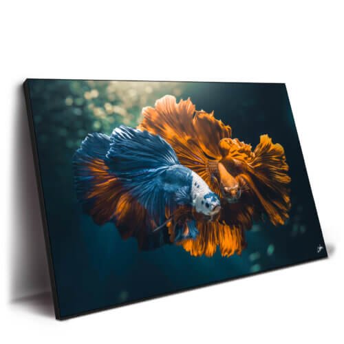 Colorful Love Wall Art by Zenja Gammer