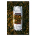 Cadillac in Flowers #1