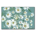 White daisies on a teal background, highlighting the simplicity and beauty of the flowers.