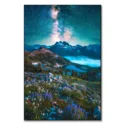 Starry Alpine Dreamland #1