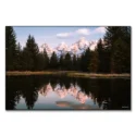 Teton Reflections #1