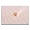 Cheez-It White Sands #1