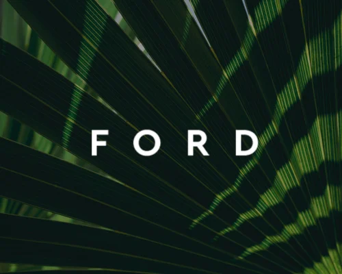 Close up photo of shadows across palm tree fronds with Nick Ford Signature in White