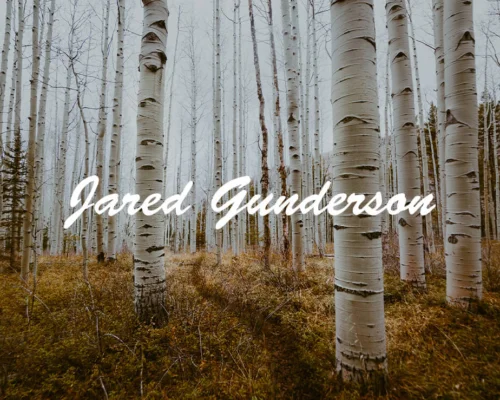 Birch tree forest in the fall with Jared Gunderson signature in white