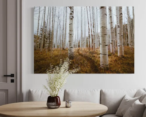 Fall landscape photography of birch trees hung above breakfast nook in gray dining room