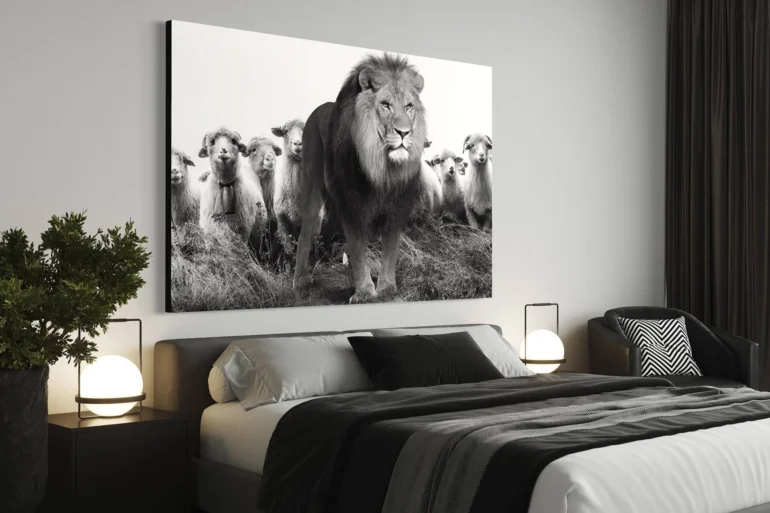 Extra large horizontal black and white photo of lion standing in front of flock of sheep hangs on white wall in modern black and white bedroom.