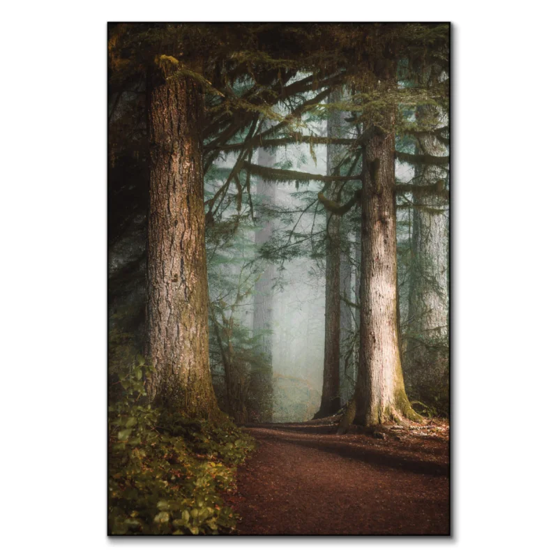 Walk in the Woods Brown Wall Art by Paige Tingey
