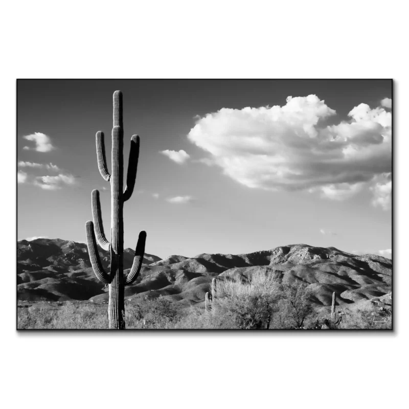 Saguaro Cactus Sunrise Black and White Wall Art by Philippe HUGONNARD