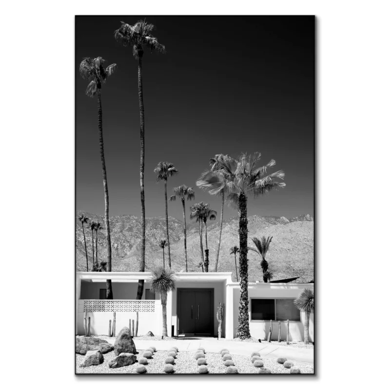 Palm Springs Midcentury Modern Black and White Wall Art by Philippe HUGONNARD