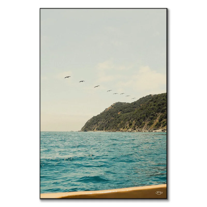 Catalina Island Wall Art by Zachary Snellenberger