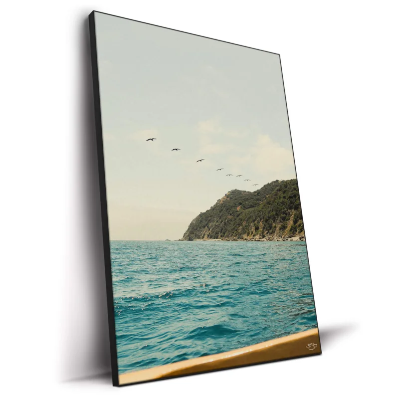 Catalina Island Wall Decor by Zachary Snellenberger