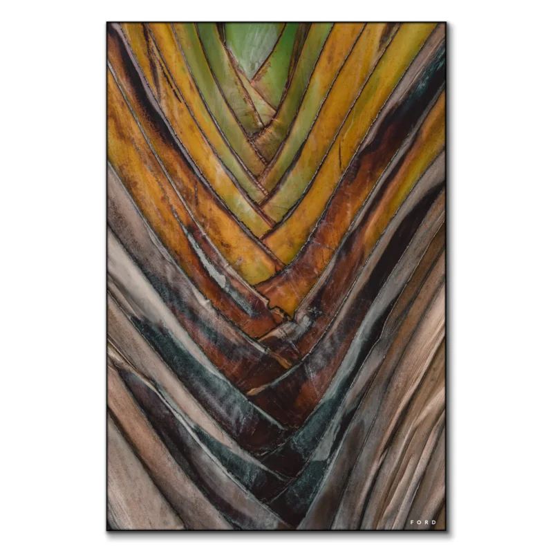 Layers of Life Neutral Wall Art by Nick Ford