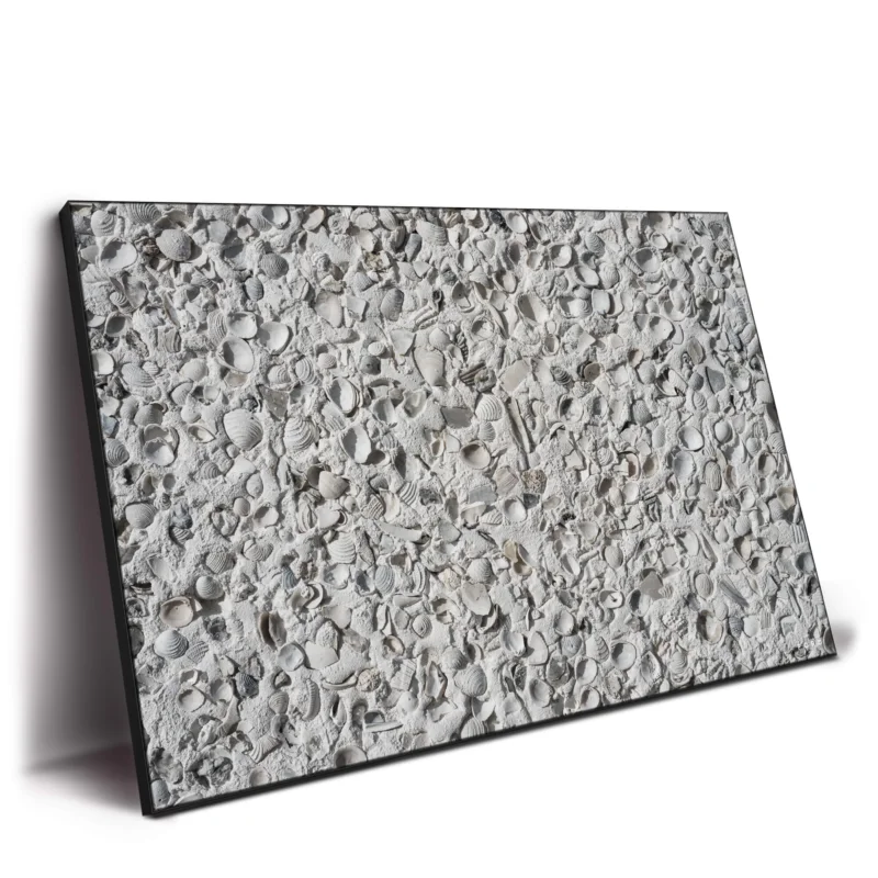 Out Of My Shell Neutral Wall Decor by Nick Ford