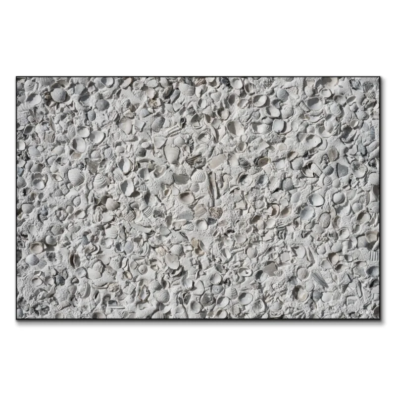 Out Of My Shell Neutral Wall Art by Nick Ford