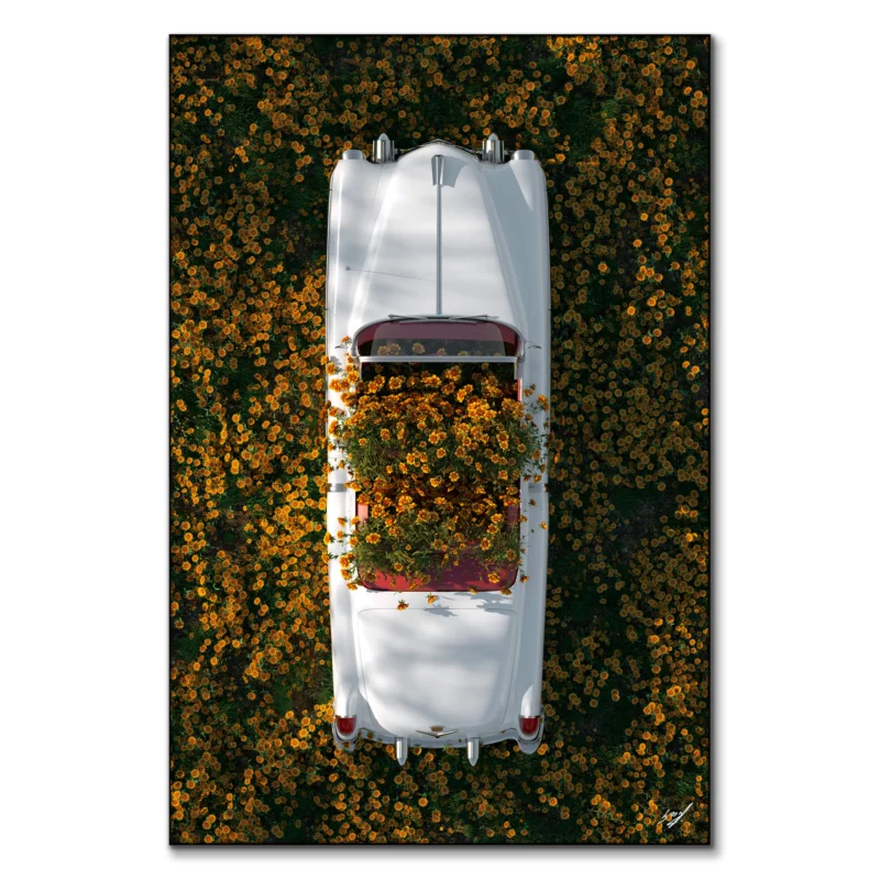 Cadillac in Flowers Warm Wall Art by Konji