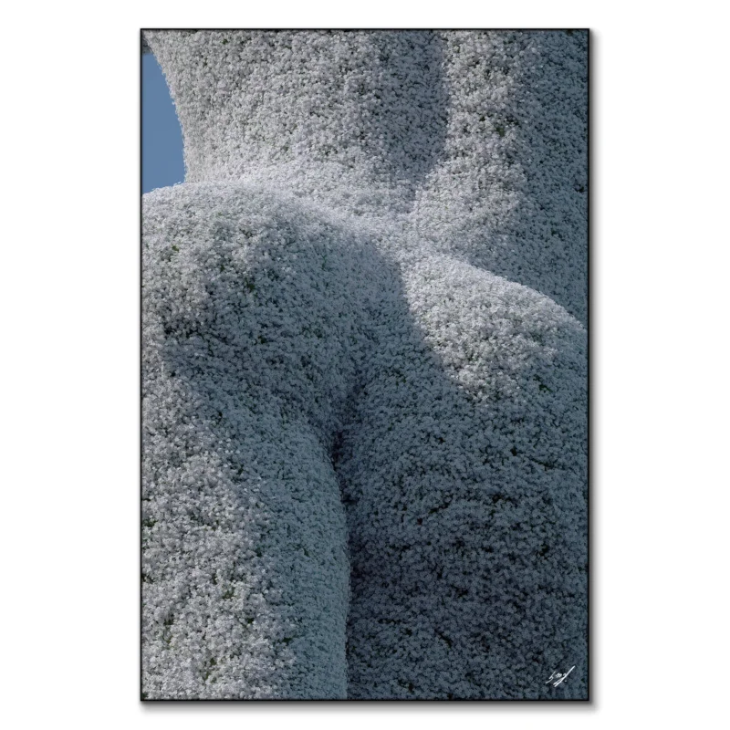 Flowers Cool Wall Art by Konji