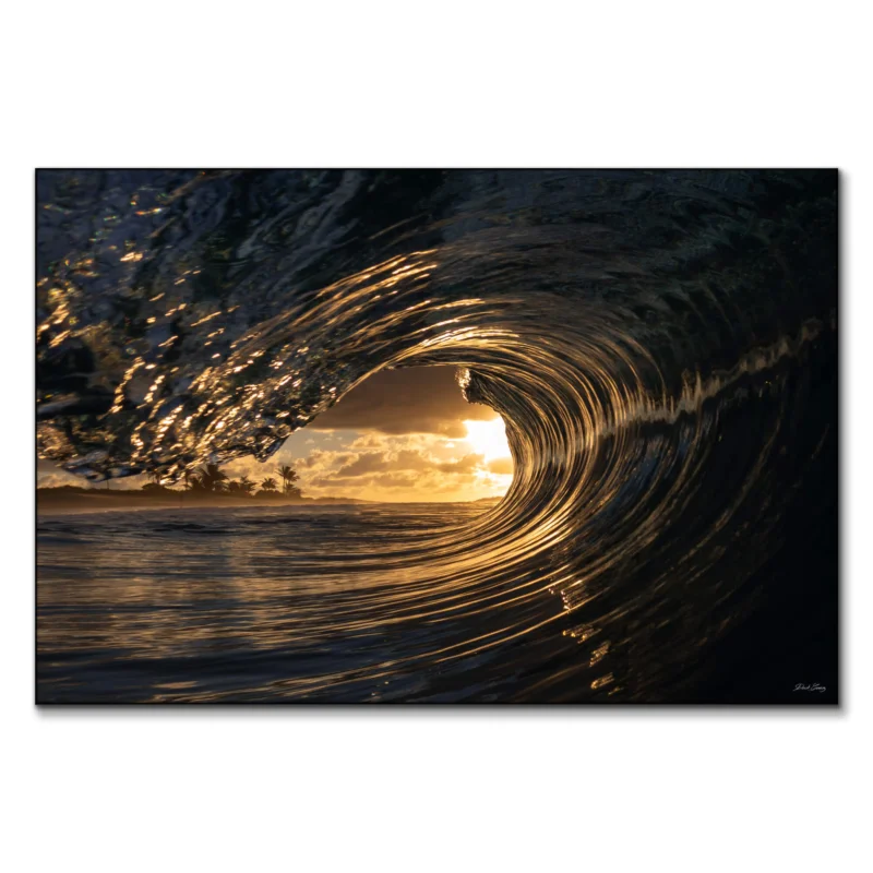 Early Riser Warm Wall Art by Derek Gomez