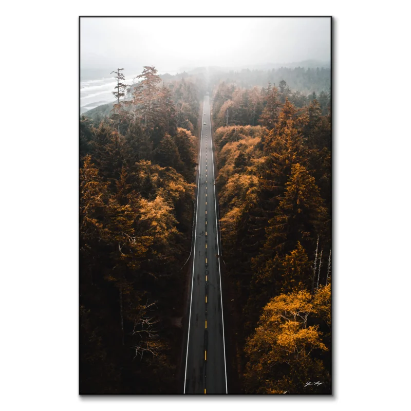 Aerial Trails Dark Wall Art by Devon Loerop