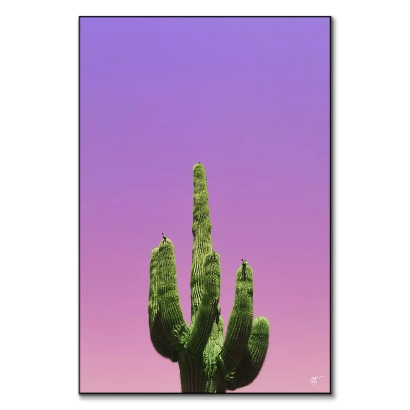 Cactus Vibrant Wall Art by Arytron