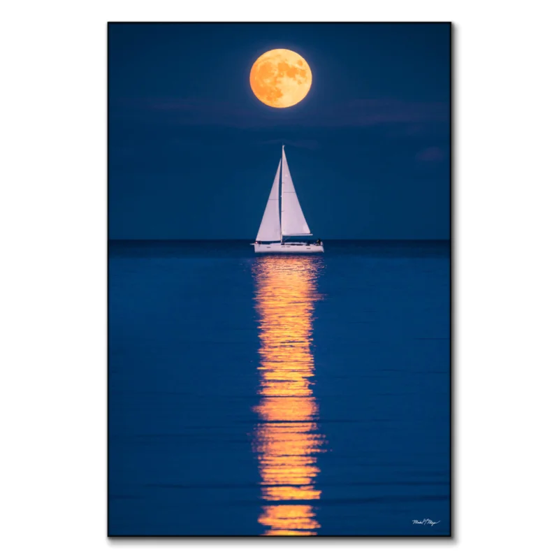 Navy Pier Reflections Wall Art by Michael Meyers