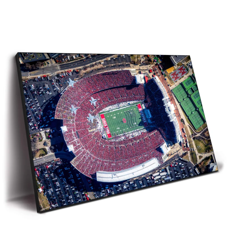 The Game of 2022 Wall Decor by Michigan Sky Media