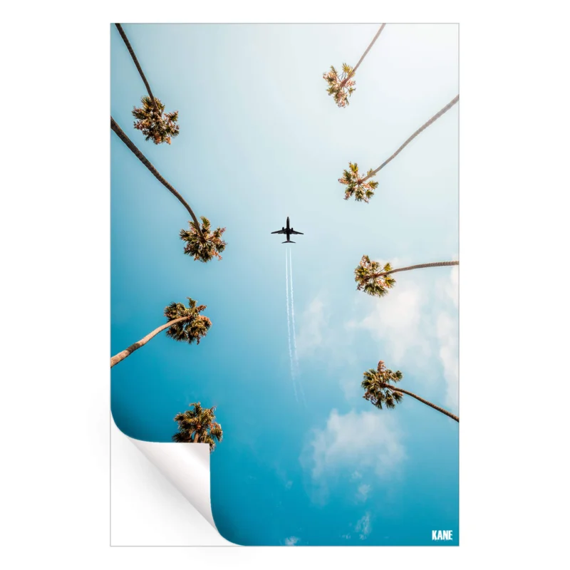 Palm Trees Cool Wall Art by Kane C. Andrade