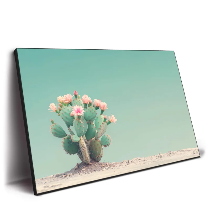 Cactus with pink flowers against a pale turquoise sky in a desert landscape.