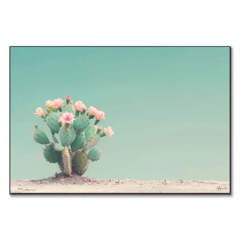 Cactus with pink flowers against a pale turquoise sky in a serene desert landscape.