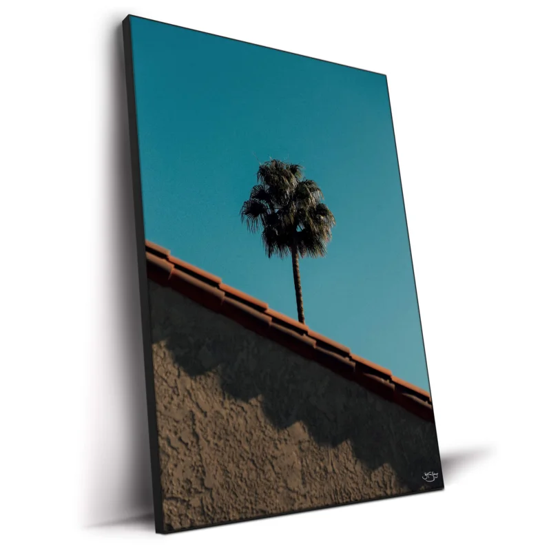 A house with a palm tree under a bright blue sky.
