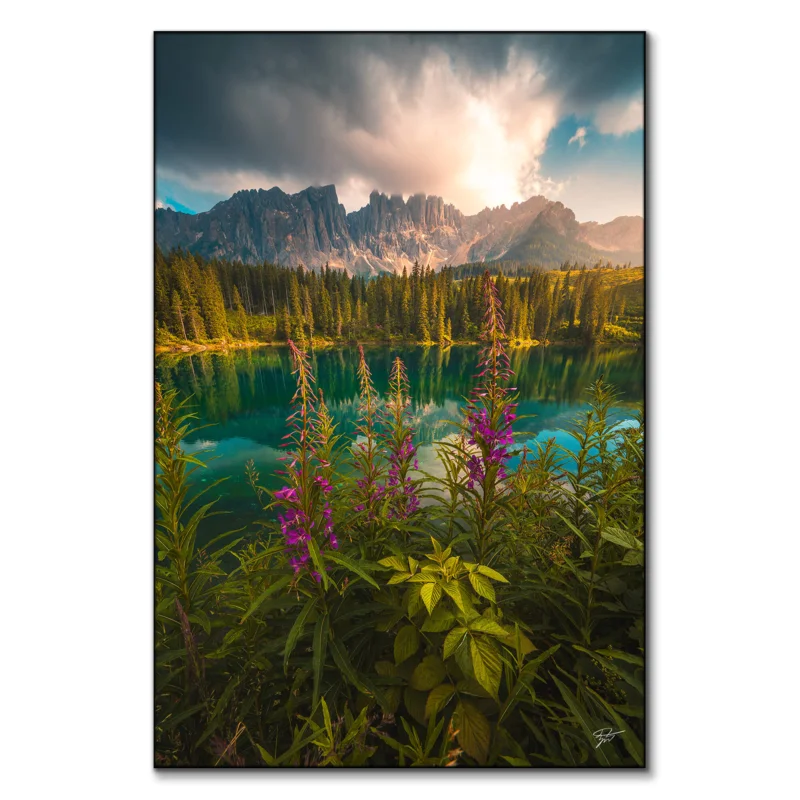 Serene landscape with mountain lake, flowers, and lush green foliage under a bright sky.