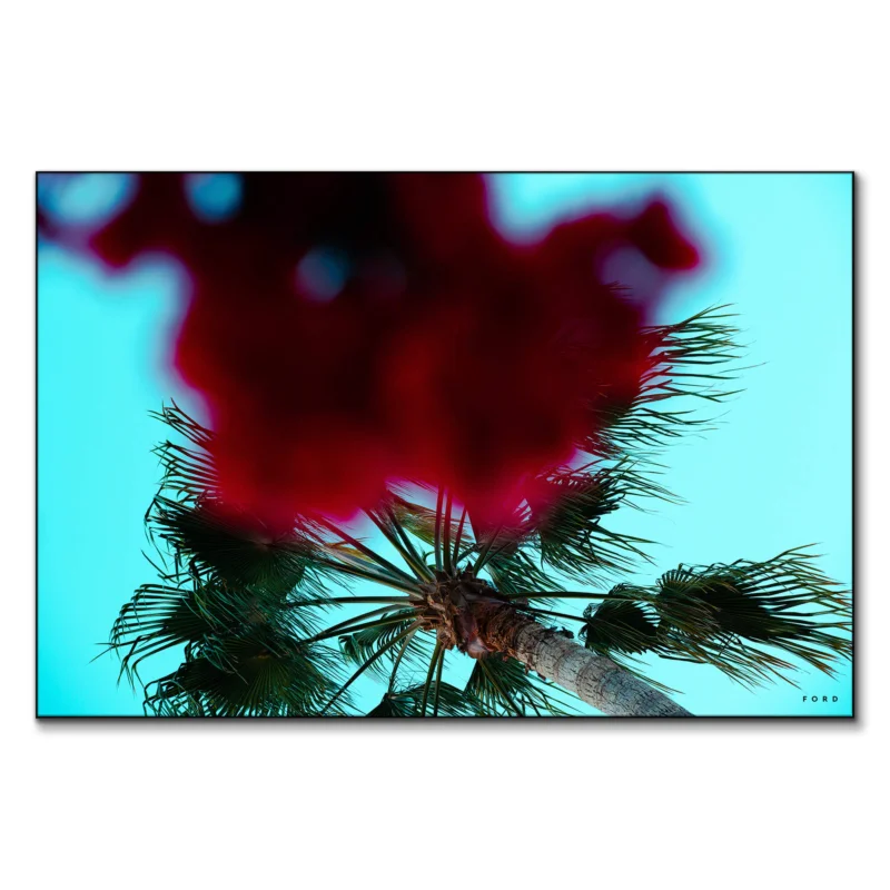 Hustle and FLOWers Red Wall Art by Nick Ford
