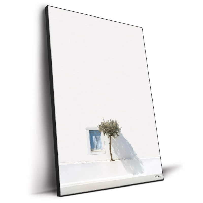 Greek Tree White Wall Decor by Marcus Cederberg