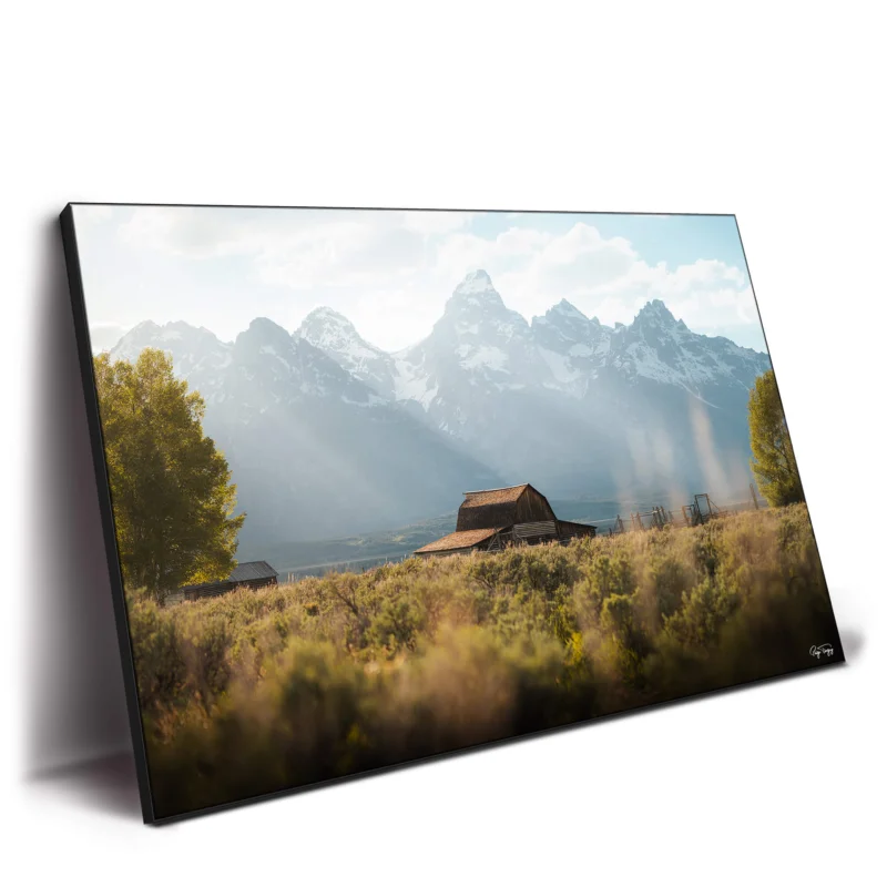 Mormon Row Green Wall Decor by Paige Tingey