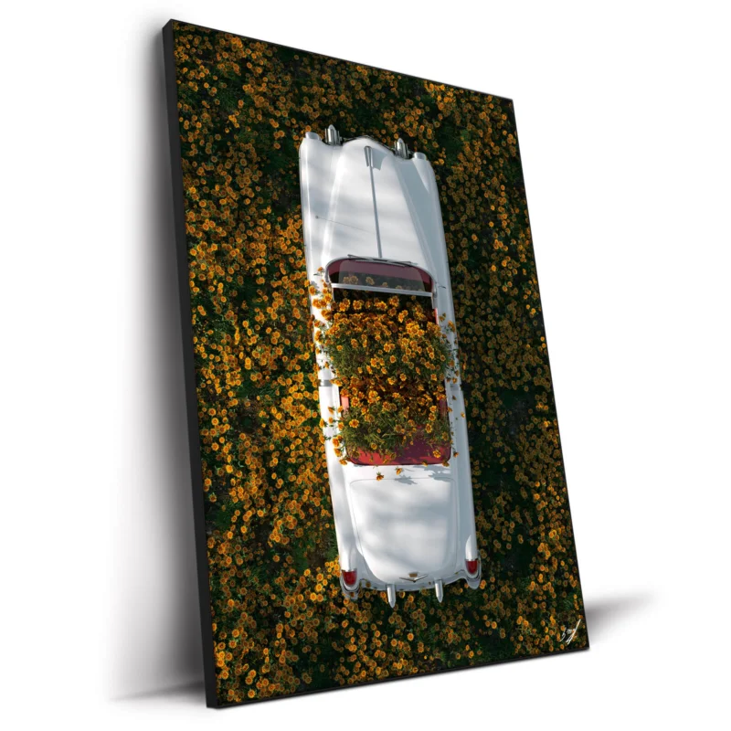 Cadillac in Flowers Warm Wall Decor by Konji