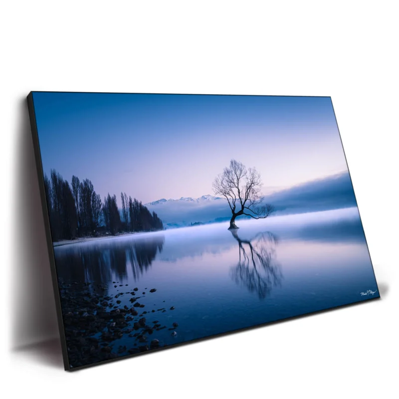 Wanaka Tree Vibrant Wall Decor by Michael Meyers