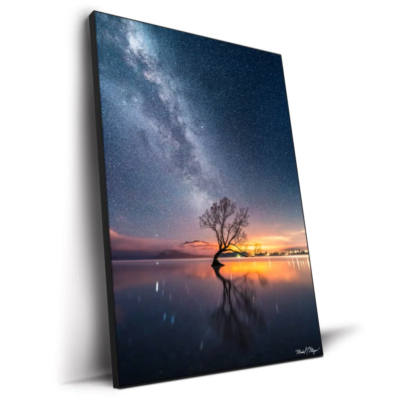 Wanaka Tree Milky Way Dark Wall Decor by Michael Meyers
