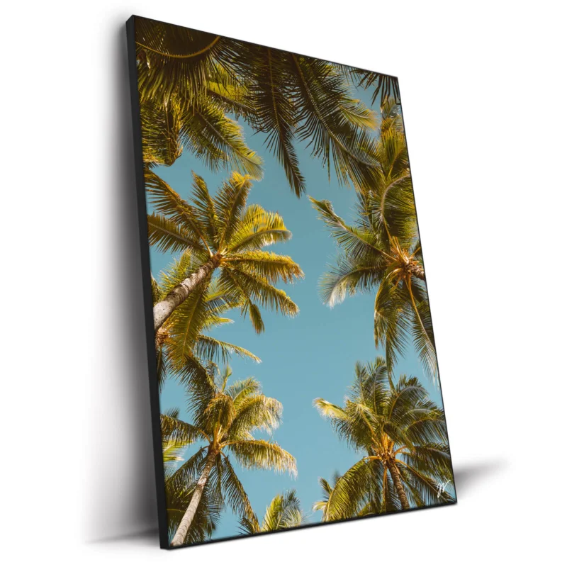 Palm Tree Sky Cool Wall Decor by Jess Loiterton