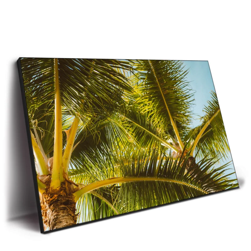 Hawaii Palm Green Wall Decor by Jess Loiterton