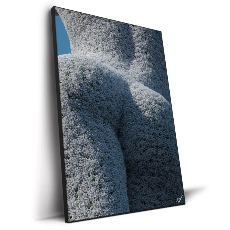 Flowers Cool Wall Decor by Konji