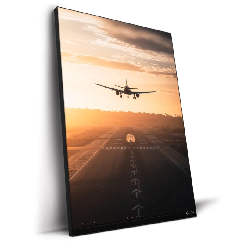 Takeoff and Landing Dark Wall Decor by Ryan Ditch