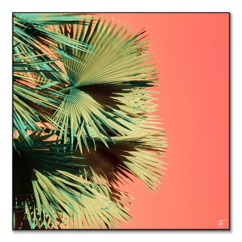 Growth v3 Vibrant Wall Art by Arytron