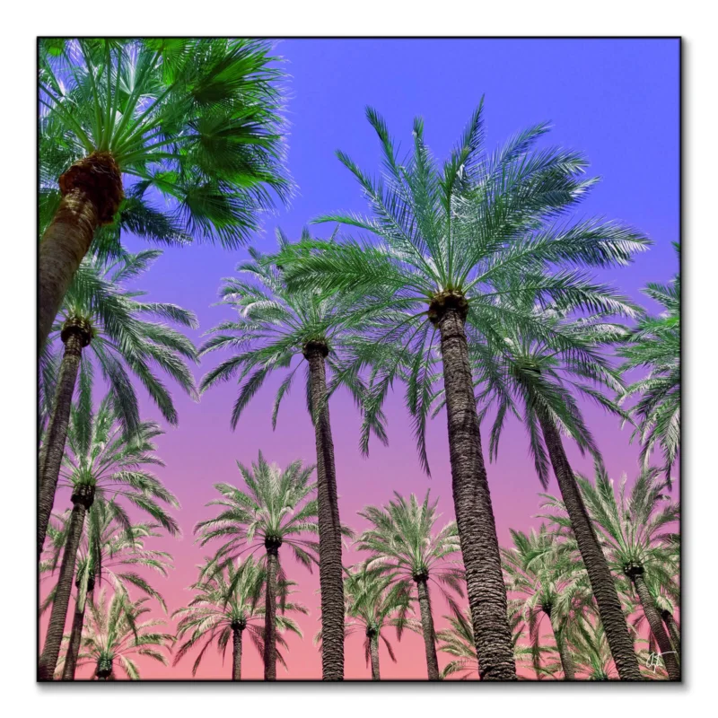 Desert Sun Vibrant Wall Art by Arytron