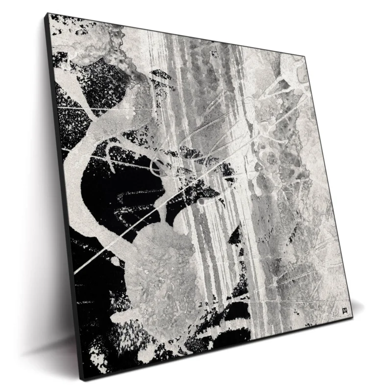 Wild Strokes Black and White Wall Decor by Jared Hankins