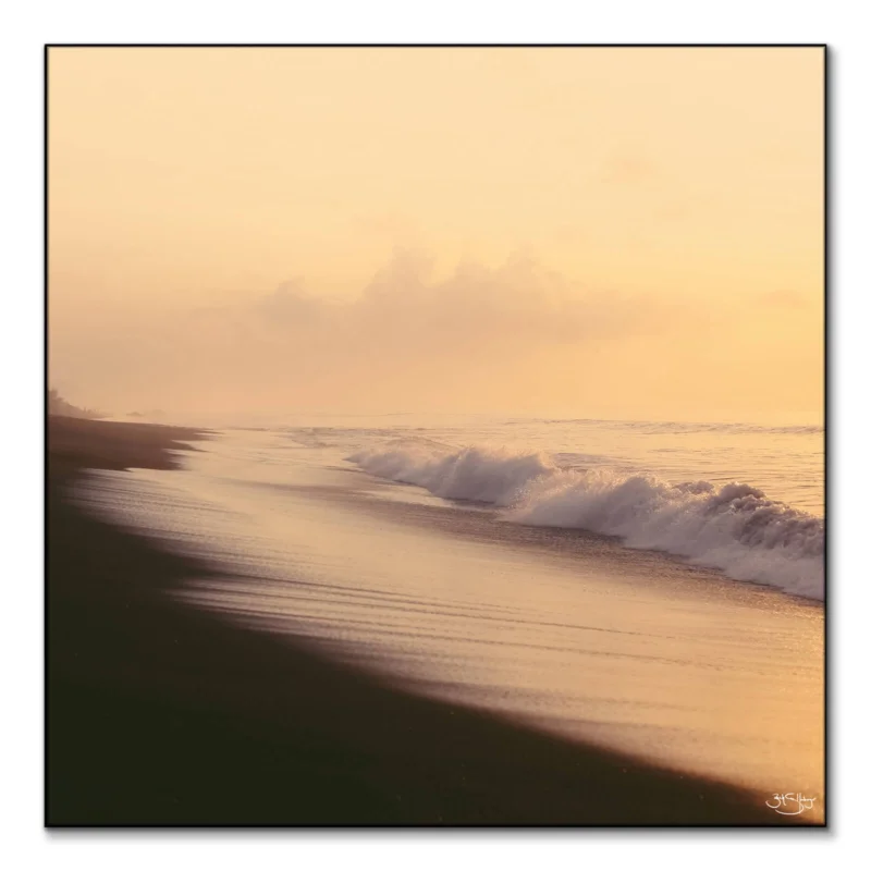 Golden Sunrise Warm Wall Art by Zachary Snellenberger
