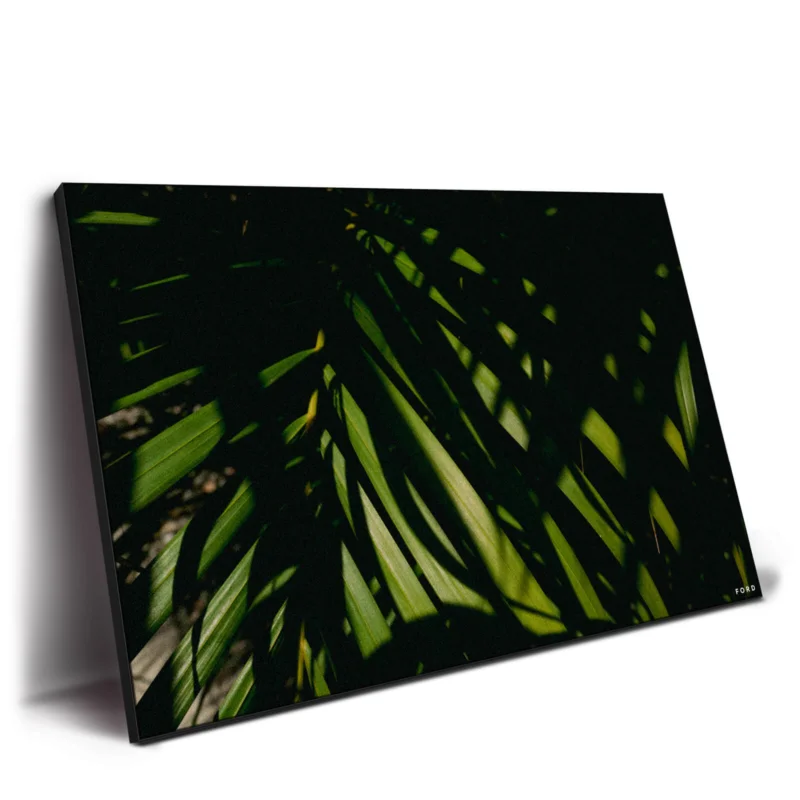 God's Plan Green Wall Decor by Nick Ford