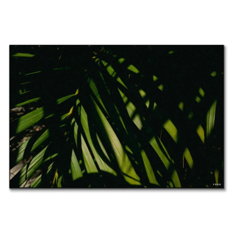 God's Plan Green Wall Art by Nick Ford