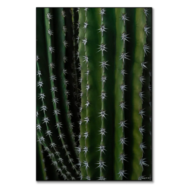 Can't Touch This Dark Wall Art by Nick Ford