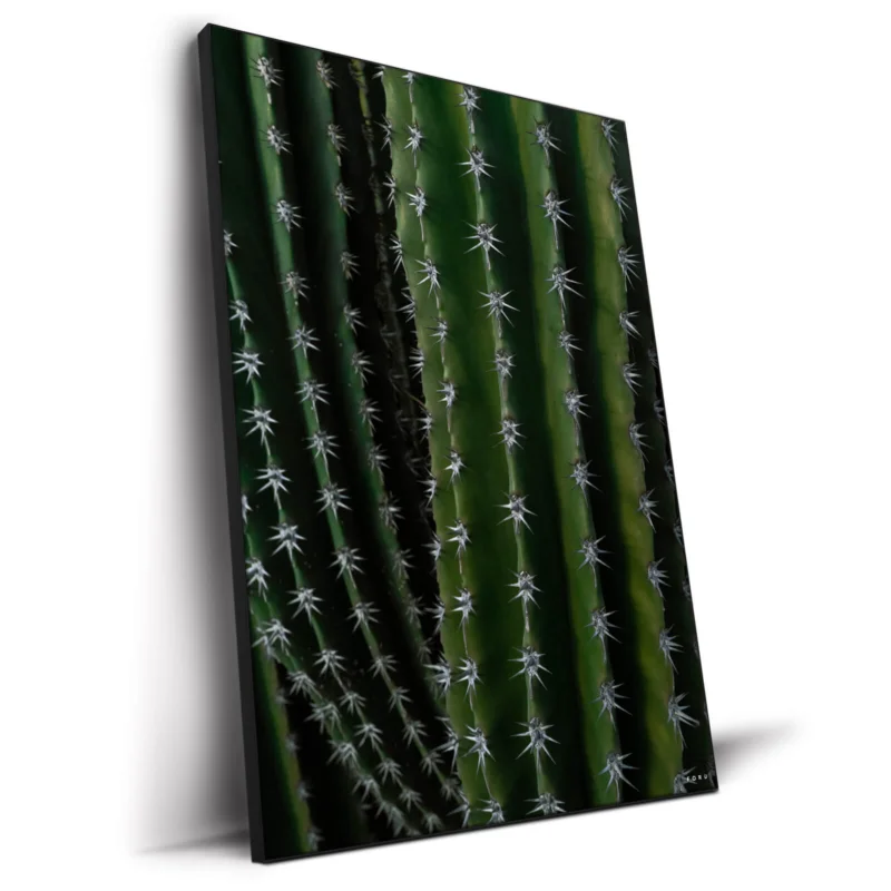 Can't Touch This Dark Wall Decor by Nick Ford