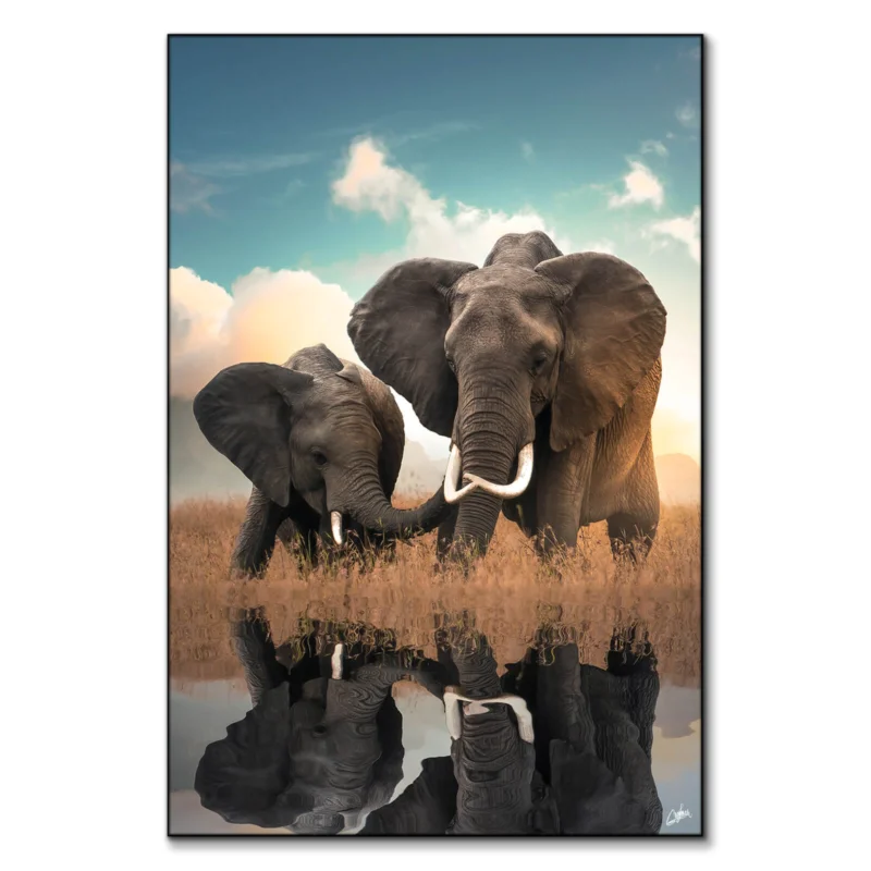 Elephant Love Wall Art by Zenja Gammer